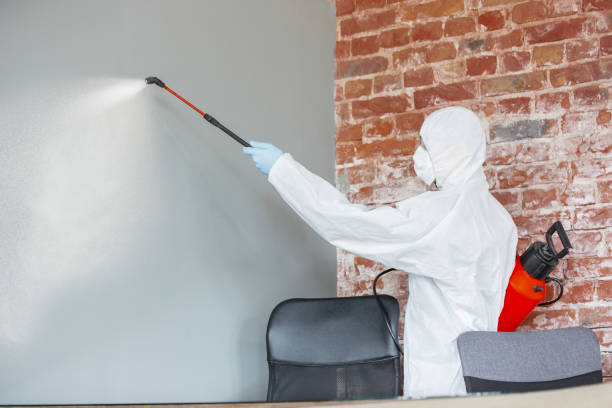 Best Biohazard Mold Removal  in Ocean Ridge, FL